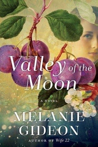 Valley Of The Moon by Melanie Gideon