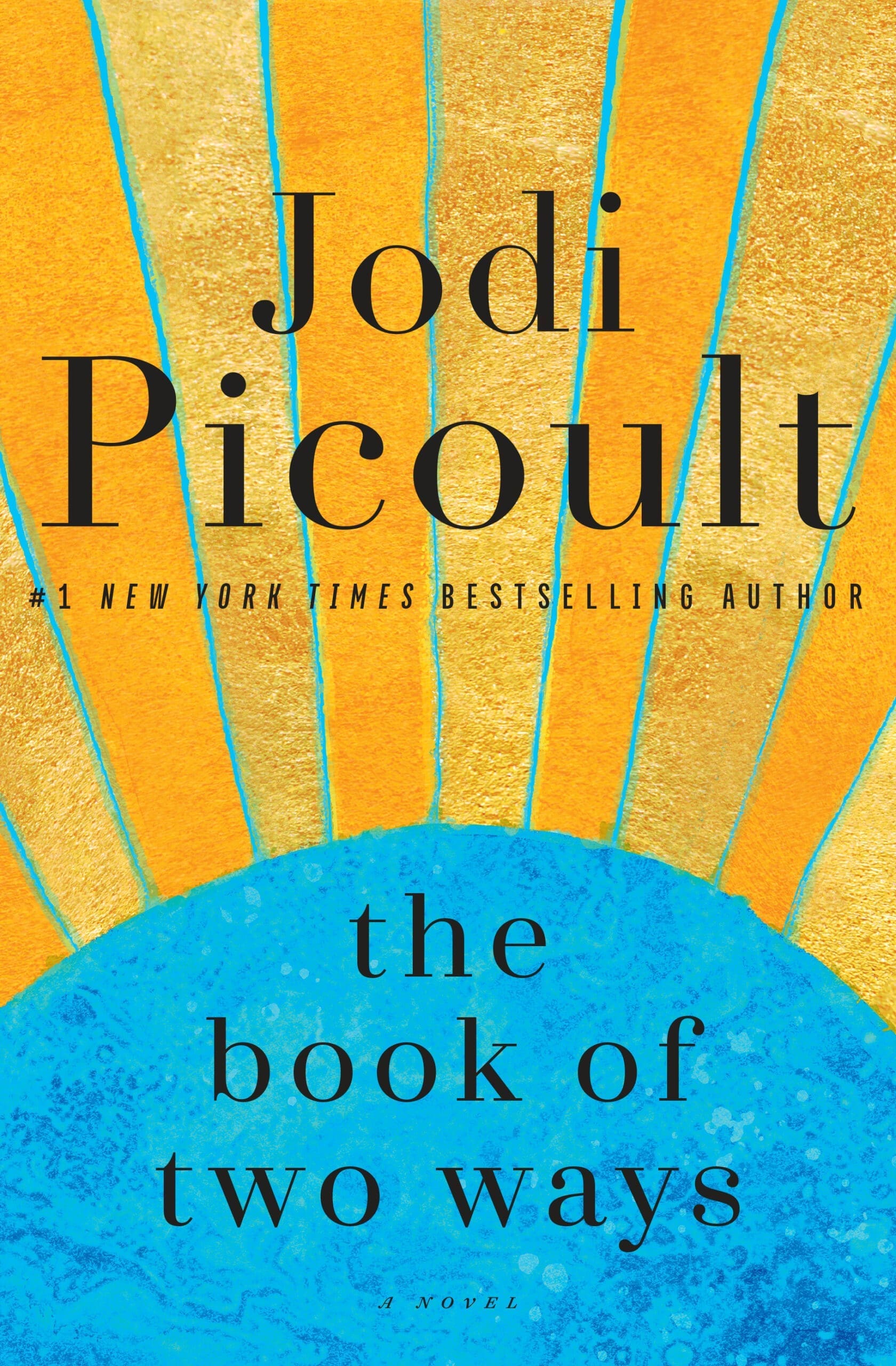 The Book of Two Ways by Jodi Picoult