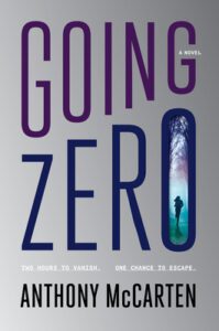 Going Zero book cover with silver background and title taking up all the space.
