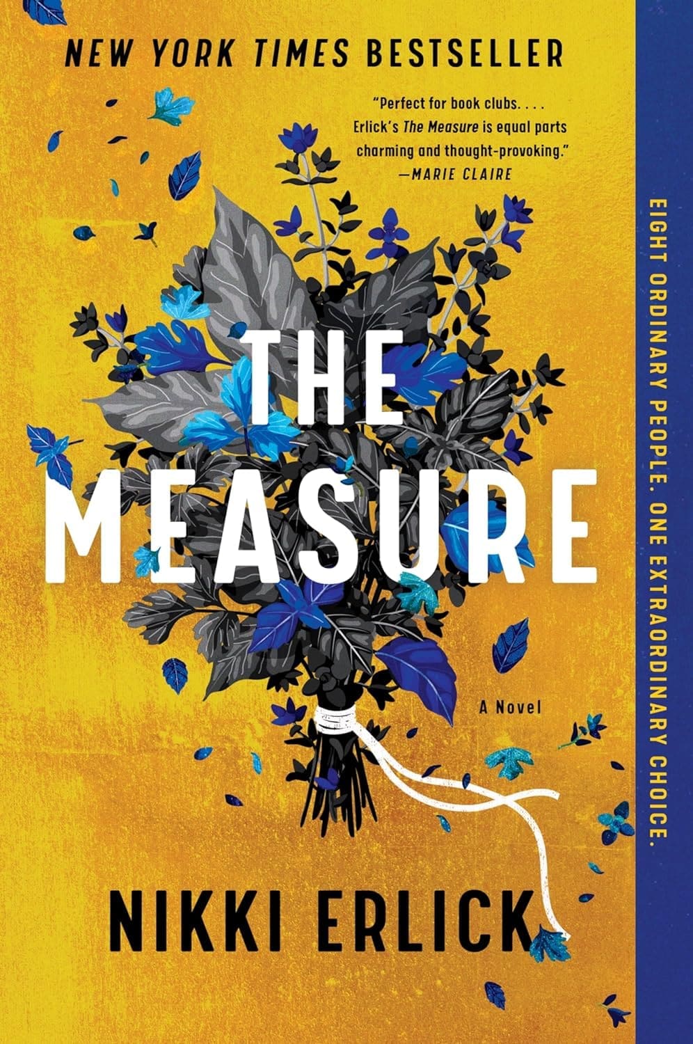 The Measure by Nikki Erlick