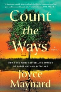 Count the Ways by Joyce Maynard book cover with sunset and large tree with swing hanging from it. 