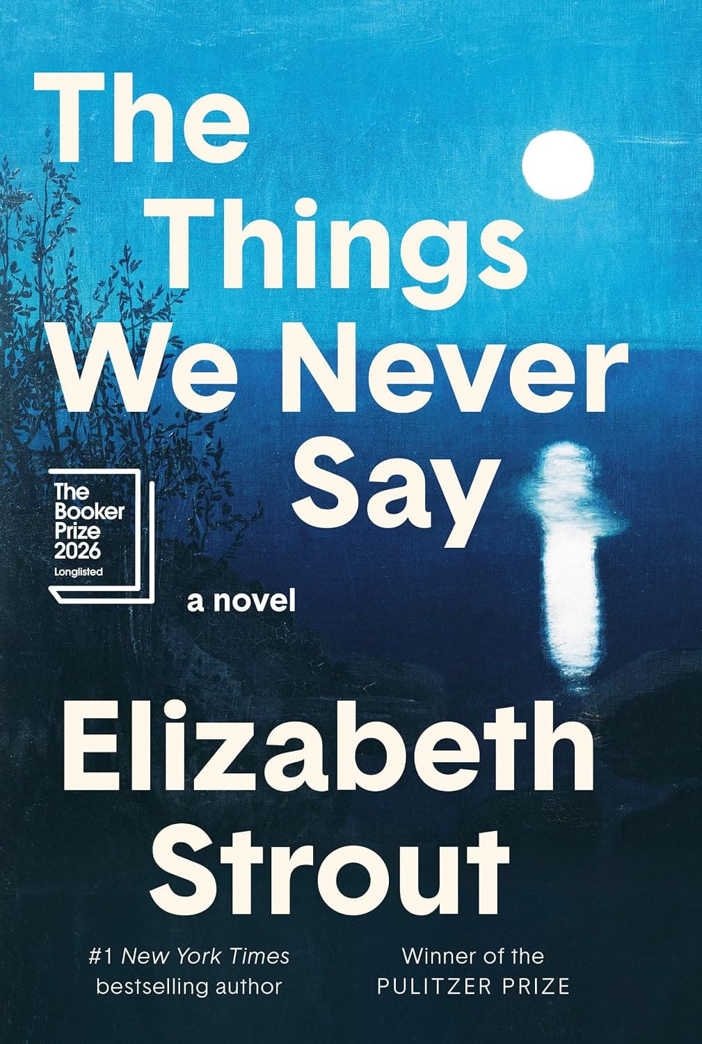 The Things We Never Say by Elizabeth Strout